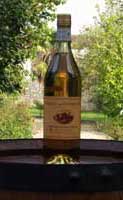 Pineau blanc Pineau blanc