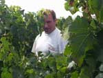 Le Viticulteur Le Viticulteur