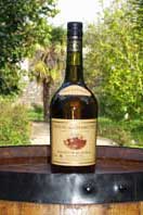 Vieux Pineau Vieux Pineau